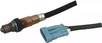 hoffer-7481088