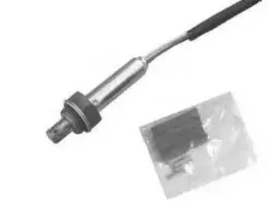 hoffer-7481094