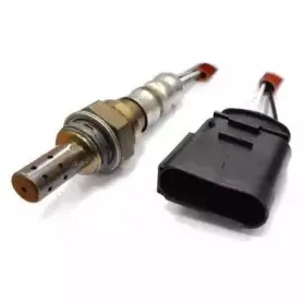 hoffer-7481098