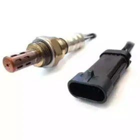 hoffer-7481503