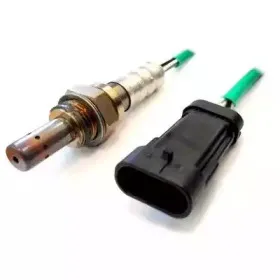 hoffer-7481504