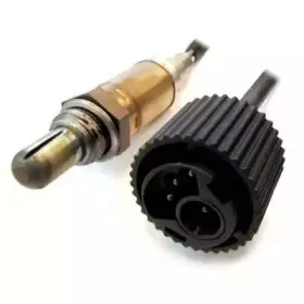 hoffer-7481505