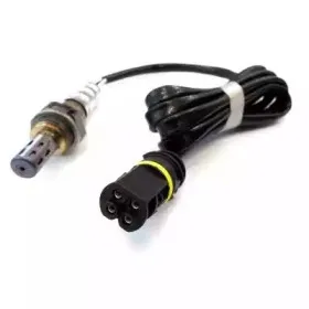 hoffer-7481507