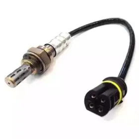 hoffer-7481508