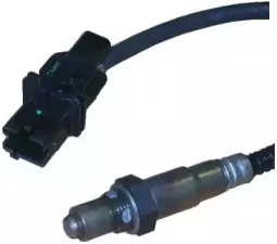 hoffer-7481520