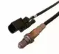 hoffer-7481527