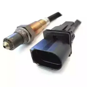 hoffer-7481528