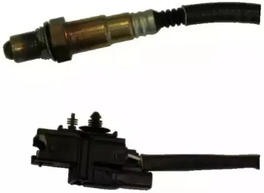 hoffer-7481529