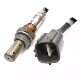 hoffer-7481531