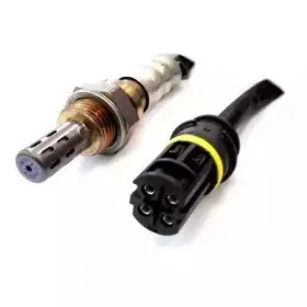 hoffer-7481534
