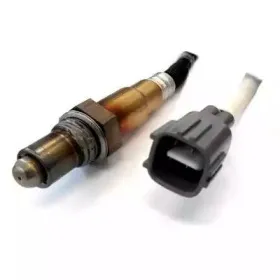 hoffer-7481535
