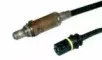 hoffer-7481538