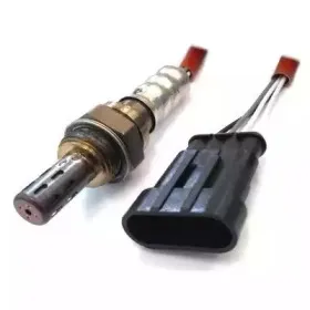 hoffer-7481540
