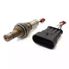 hoffer-7481541