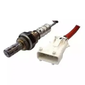 hoffer-7481543