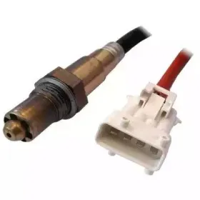 hoffer-7481544