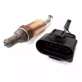 hoffer-7481547