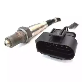 hoffer-7481548