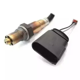 hoffer-7481549