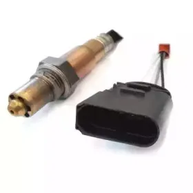 hoffer-7481550