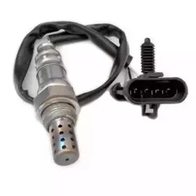 hoffer-7481551