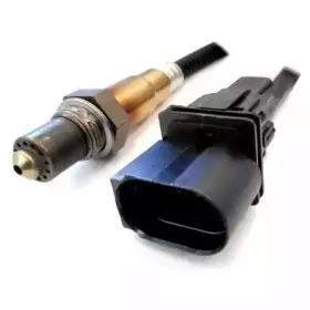 hoffer-7481553