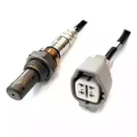 hoffer-7481557