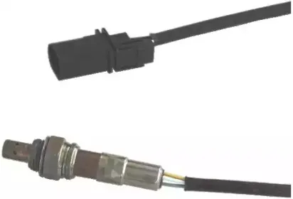 hoffer-7481559