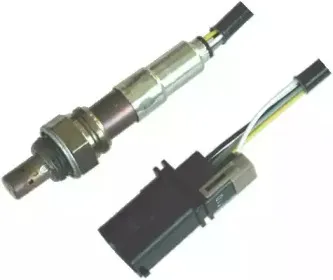 hoffer-7481560
