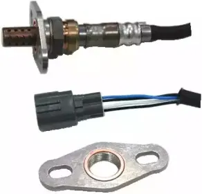 hoffer-7481563