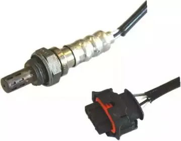 hoffer-7481565