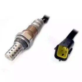 hoffer-7481566