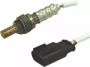 hoffer-7481569