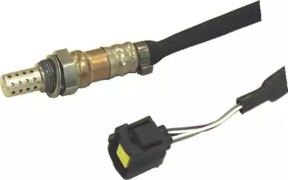 hoffer-7481574