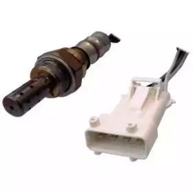 hoffer-7481578