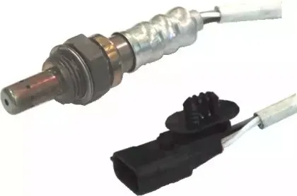 hoffer-7481580