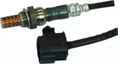 hoffer-7481582