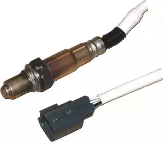 hoffer-7481585