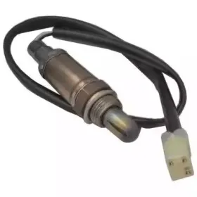 hoffer-7481588