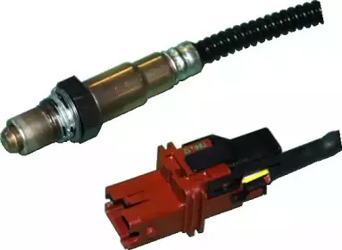 hoffer-7481590