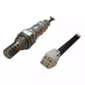 hoffer-7481591