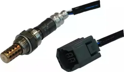 hoffer-7481594