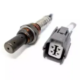 hoffer-7481595