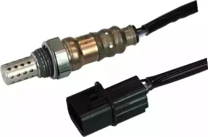 hoffer-7481599