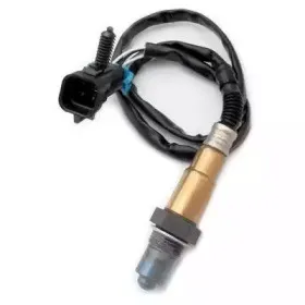 hoffer-7481605