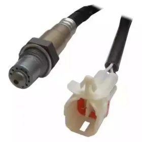 hoffer-7481612