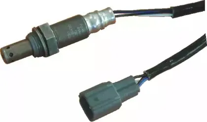hoffer-7481614