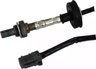 hoffer-7481616