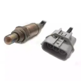 hoffer-7481618