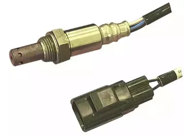 hoffer-7481626